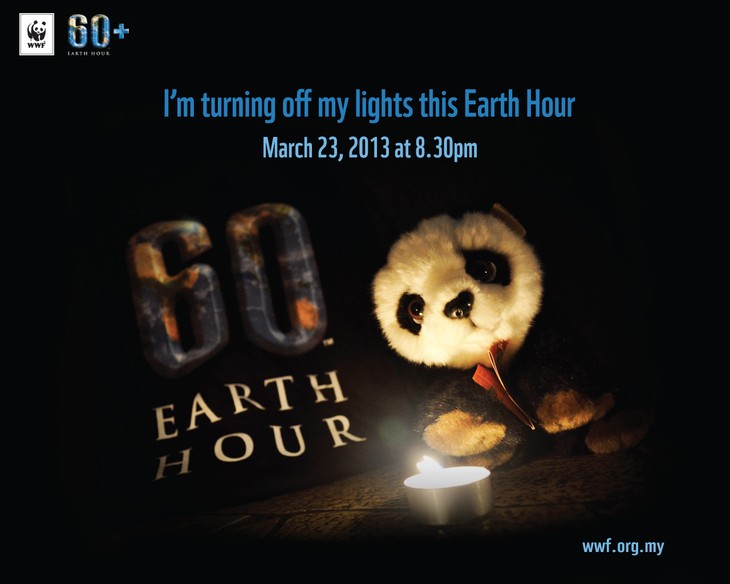 Vietnamese students respond to 2013 Earth Hour - ảnh 1
