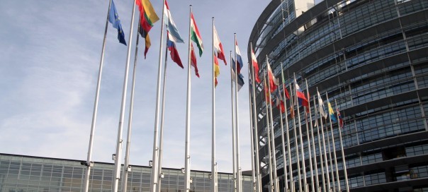 21 countries unanimously vote in European parliamentary elections  - ảnh 1