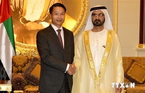  UAE continues to boost bilateral ties with Vietnam - ảnh 1