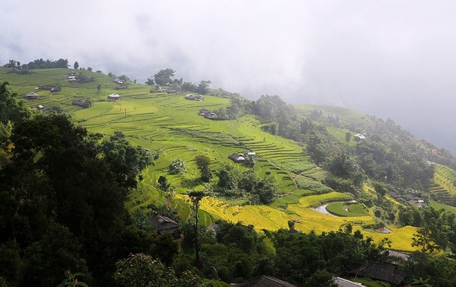 Lyrical rice terraced landscapes of Hoang Su Phi - ảnh 1