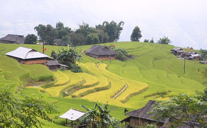 Lyrical rice terraced landscapes of Hoang Su Phi - ảnh 3