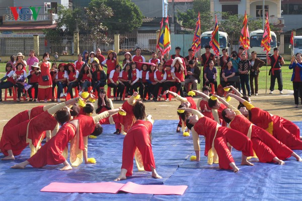 International Yoga Day 2017 marked in Vietnam - ảnh 1
