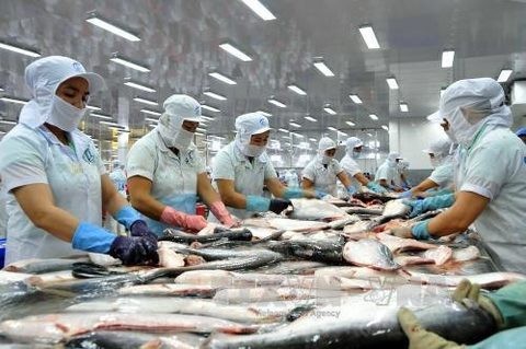 Tra fish fair to open in Hanoi in October - ảnh 1