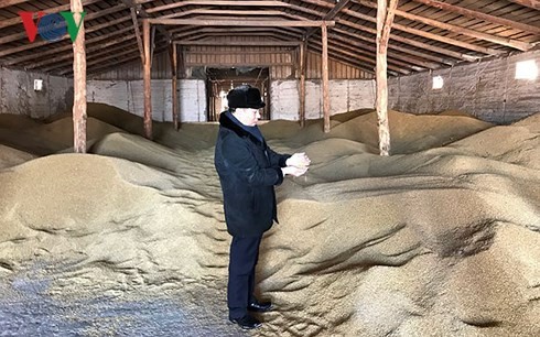 Vietnamese farm owner shines in Russian region - ảnh 1