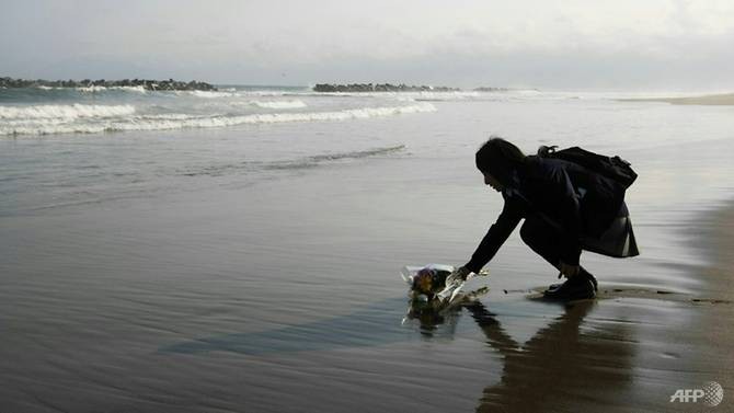 Japan’s beaches hit by 2011 nuclear, tsunami disaster reopen - ảnh 1