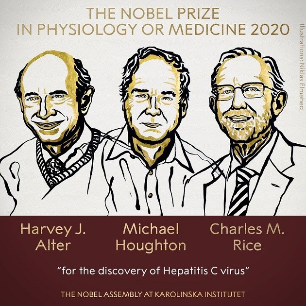 Nobel Prize in Medicine awarded for discovery of Hepatitis C virus - ảnh 1