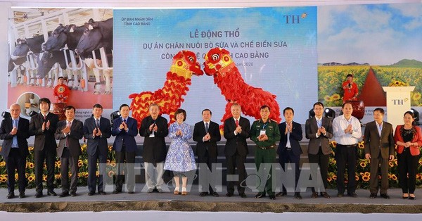 TH group rolls out mega dairy project in northern mountainous province - ảnh 1