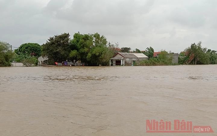UNICEF grants aid to children in flood-hit central region - ảnh 1