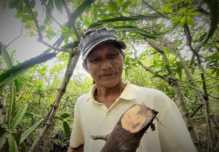 Ca Mau farmer makes items from avicennia trees - ảnh 1