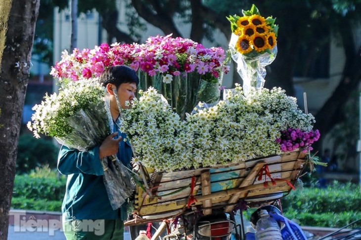 Ox-eye daisies create marvelous scenery on Hanoi streets - ảnh 4