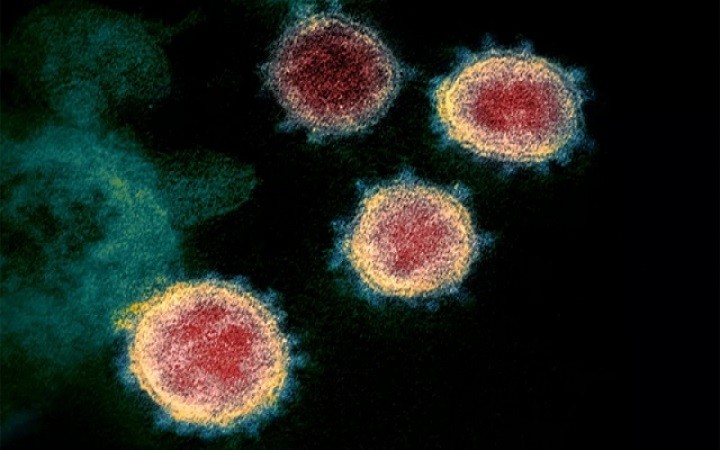 New coronavirus variant spreads worldwide - ảnh 1