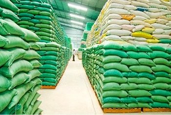 130,000 tons of rice allocated to pandemic-hit localities - ảnh 1