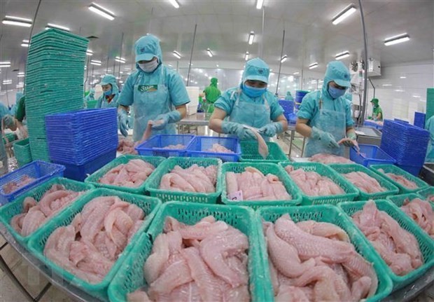 Tra fish export value estimated at 1.5 billion USD this year - ảnh 1