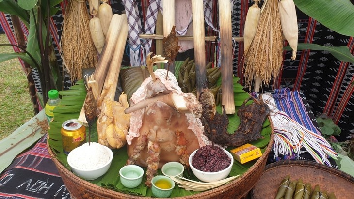 Festival of Ta Oi ethnic people prays for bumper crop and good health - ảnh 4