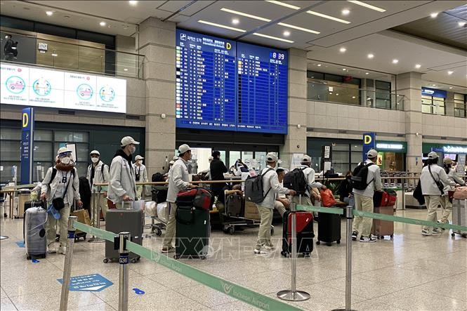 Arrivals from Vietnam exempted from mandatory quarantine in South Korea  - ảnh 1