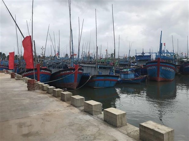 Vietnam to have 184 fishing ports by 2050 - ảnh 1