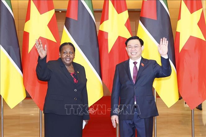 Vietnam treasures traditional ties with Mozambique - ảnh 1