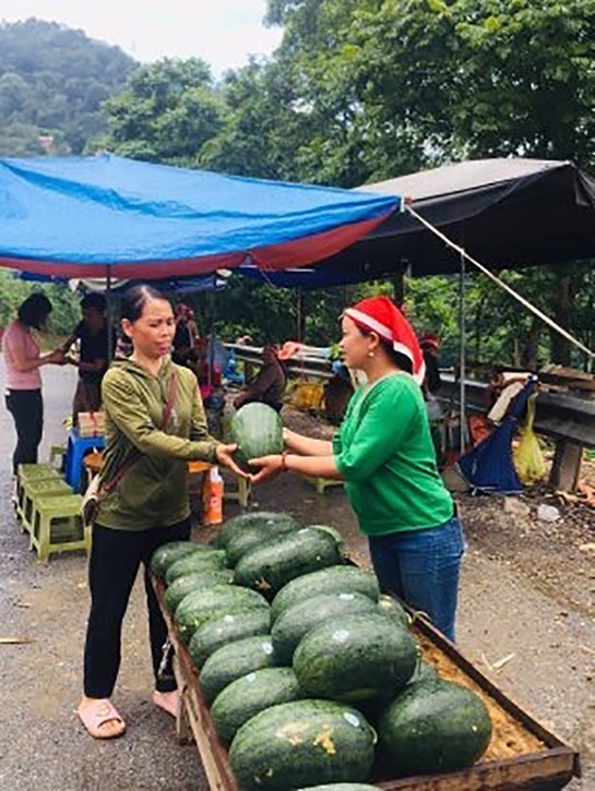 Dao ethnic minority woman escapes poverty by growing watermelons - ảnh 1