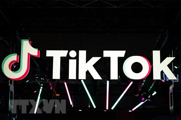 TikTok to be banned from UK parliamentary devices, internet servers   - ảnh 1
