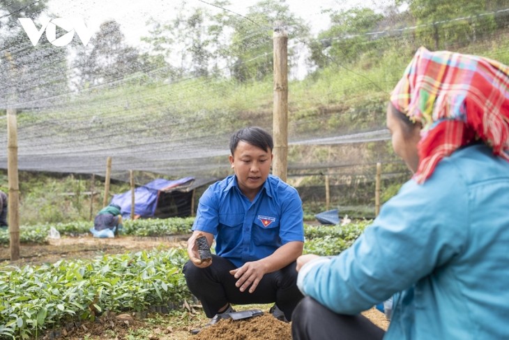 Young Mong man greens hills to help improve people’s livelihoods - ảnh 1