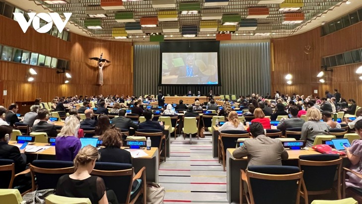 UN General Assembly adopts resolution on new oceans biodiversity treaty - ảnh 1