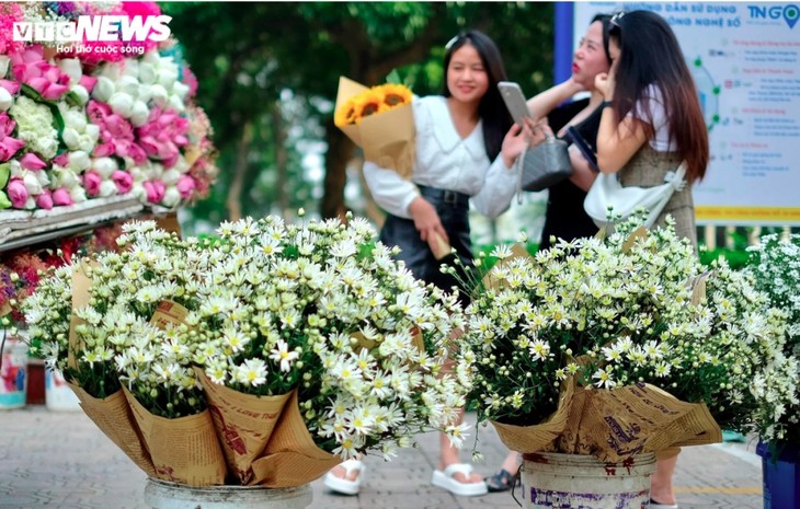 Hanoi streets dotted with daisies as winter approaches - ảnh 4