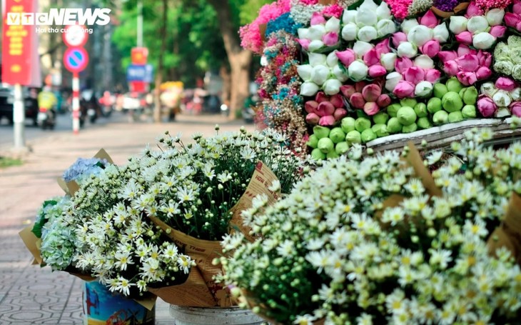 Hanoi streets dotted with daisies as winter approaches - ảnh 9