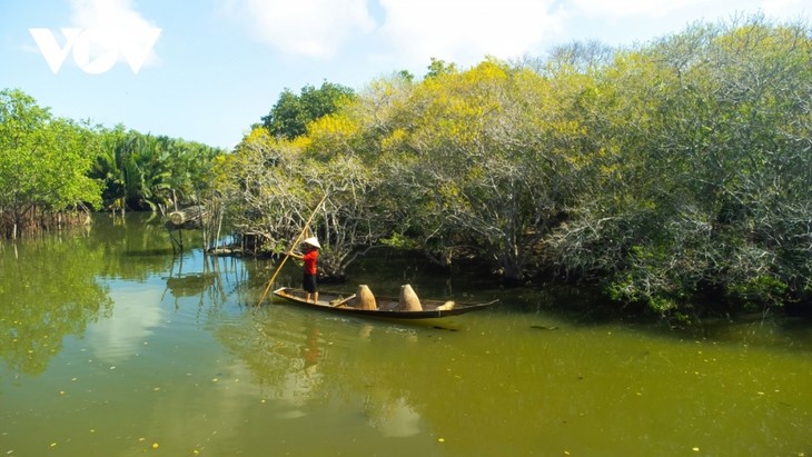 Fall foliage in Ru Cha mangrove forest - ảnh 6