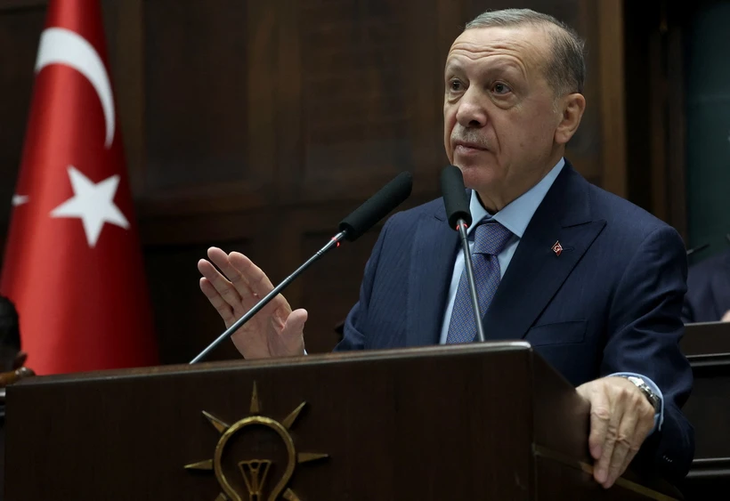 Turkey sets conditions for Sweden’s NATO bid - ảnh 1