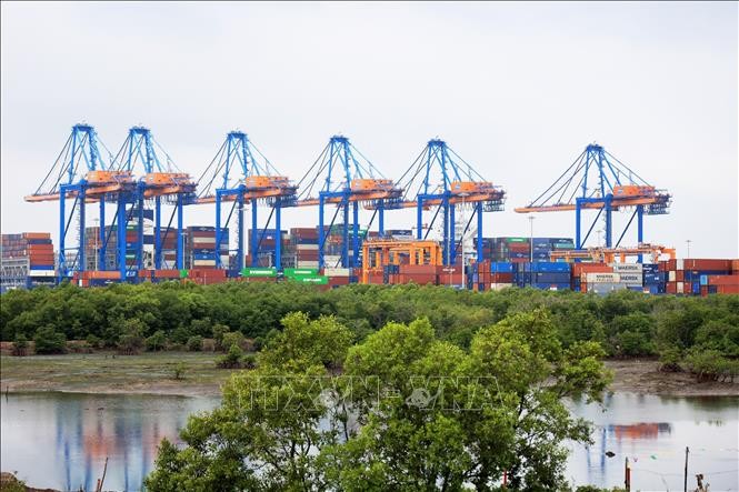 Cai Mep Ha Port to be upgraded to accommodate world’s large cargo ships - ảnh 1