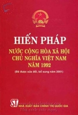 Tổng kết việc thi hành Hiến pháp năm 1992 - ảnh 1