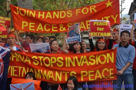 Người Việt Nam ở nước ngoài và dư luận quốc tế phản đối hành động của Trung Quốc  - ảnh 2