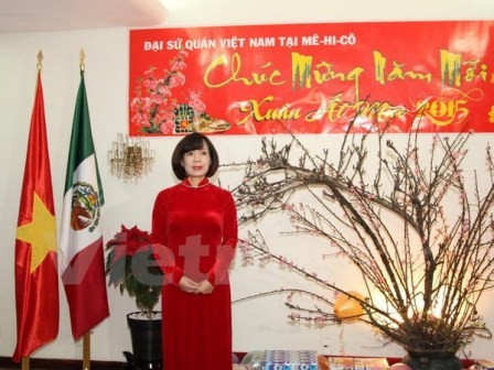 Cộng đồng người Việt tại Mexico tưng bừng đón Xuân Ất Mùi  - ảnh 1