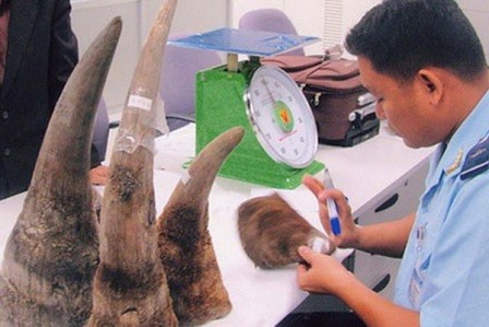 Việt Nam hợp tác cùng cộng đồng quốc tế bảo vệ động vật hoang dã - ảnh 1