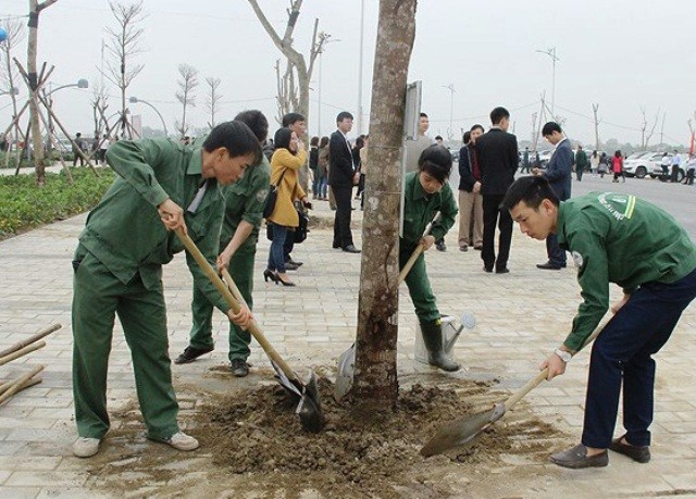 Tết trồng cây đời đời nhớ ơn Chủ tịch Hồ Chí Minh - ảnh 5