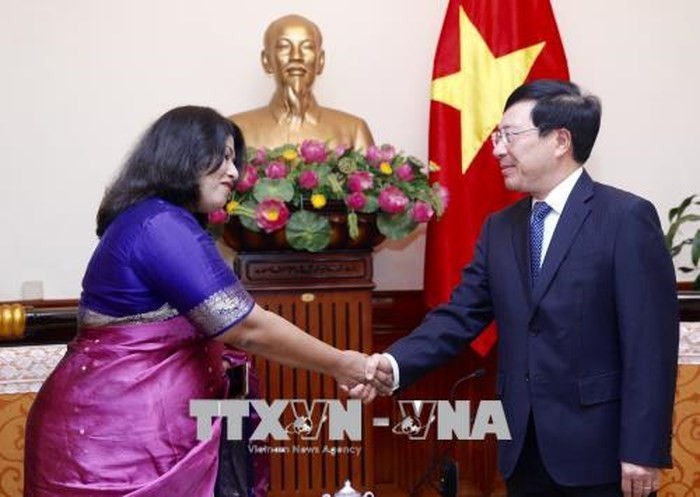 Phó Thủ tướng, Bộ trưởng Ngoại giao Phạm Bình Minh tiếp Đại sứ Bangladesh Samina Naz - ảnh 1