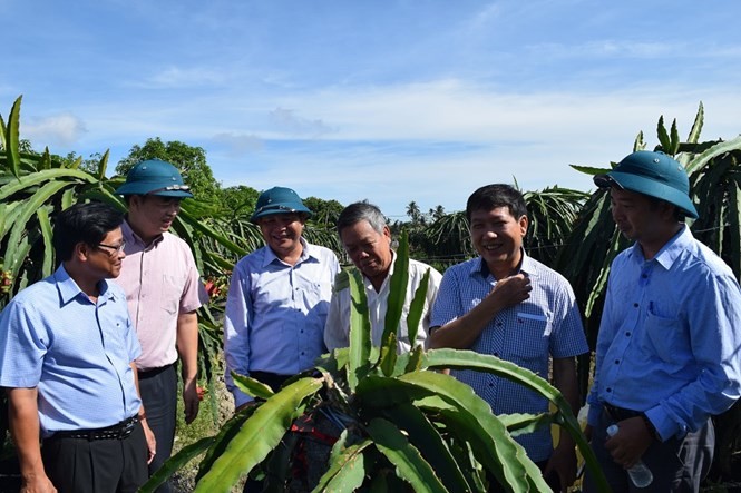 Tọa đàm “Vai trò của MTTQ Việt Nam trong việc vận động và giám sát xây dựng nông thôn mới“ - ảnh 1