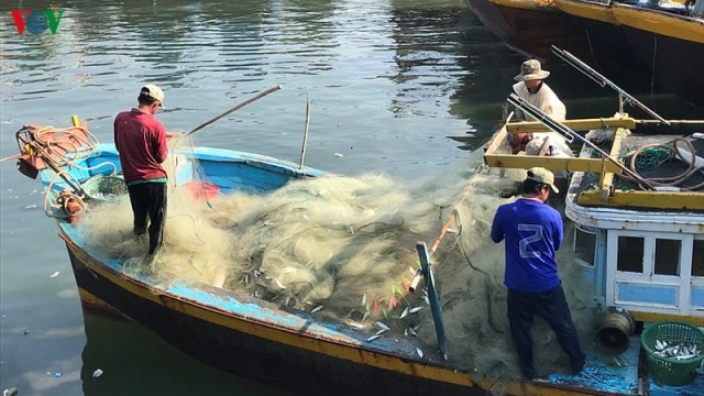 Bình Thuận: Chuyến biển đầu năm thuận lợi, ngư dân phấn khởi vươn khơi - ảnh 1