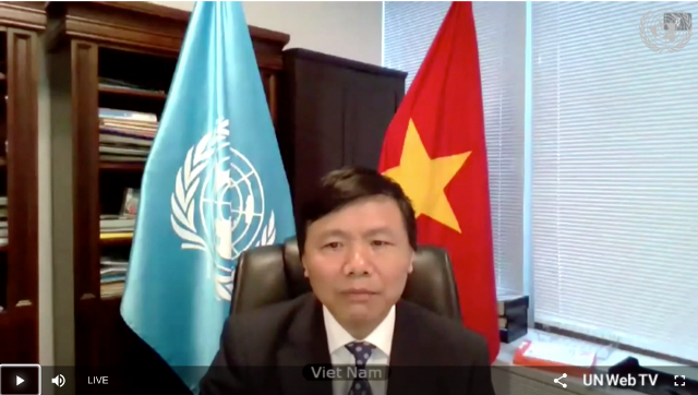 Việt Nam và Indonesia phát biểu chung tại Hội đồng Bảo an về tình hình Trung Phi - ảnh 1