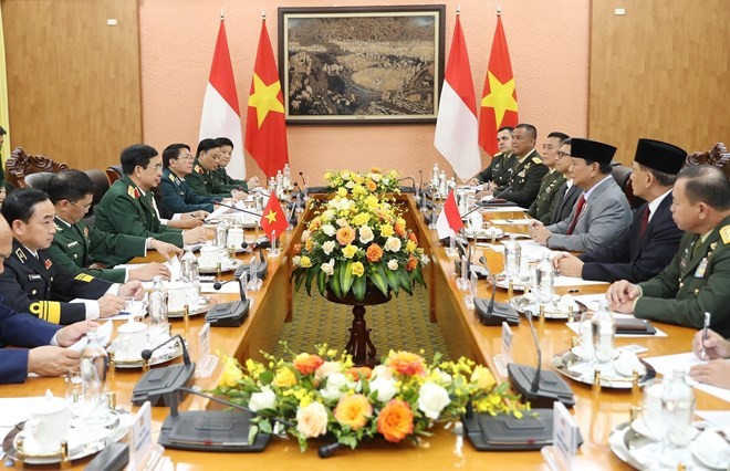 Hội đàm giữa Bộ trưởng Bộ Quốc phòng Việt Nam và Bộ trưởng Quốc phòng Indonesia  - ảnh 1