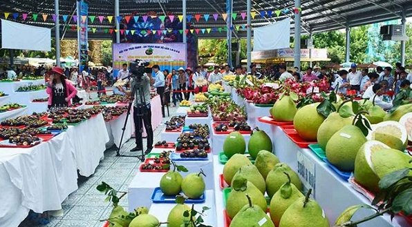 Festival trái cây và sản phẩm OCOP Việt Nam năm 2022  - ảnh 1