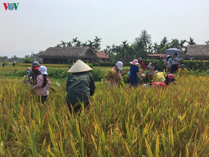Một ngày trải nghiệm du lịch cộng đồng ở làng quê Yên Đức, Quảng Ninh - ảnh 13
