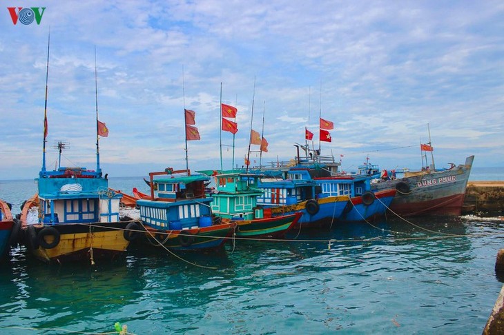 Khám phá đảo Lý Sơn - thiên đường biển xanh của Quảng Ngãi - ảnh 21