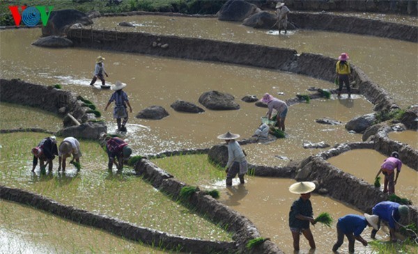 Y Tý mùa nước đổ đẹp như tranh họa đồ - ảnh 10