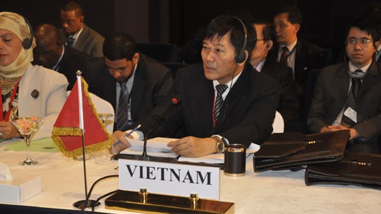 Vietnam participa en la Conferencia ministerial del NOAL en Egipto - ảnh 1