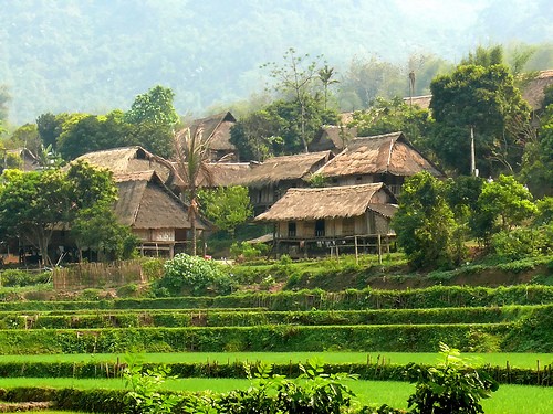 Visitar Thung Nai implica un viaje a los orígenes vietnamitas - ảnh 4