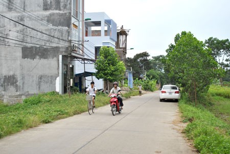 Construcción de vías rurales en Tuyen Quang - ảnh 1