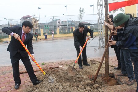 Promueven la siembra de árboles en localidades vietnamitas   - ảnh 1