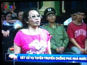 Premia Departamento de Estado a violadora de leyes vietnamitas - ảnh 1