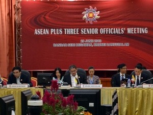 Altos funcionarios de ASEAN+3 se preparan para la XLVI Conferencia de Cancilleres - ảnh 1